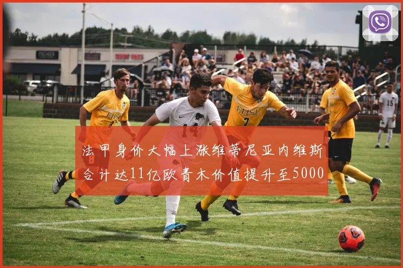 法甲身价大幅上涨维蒂尼亚内维斯合计达11亿欧青木价值提升至5000万