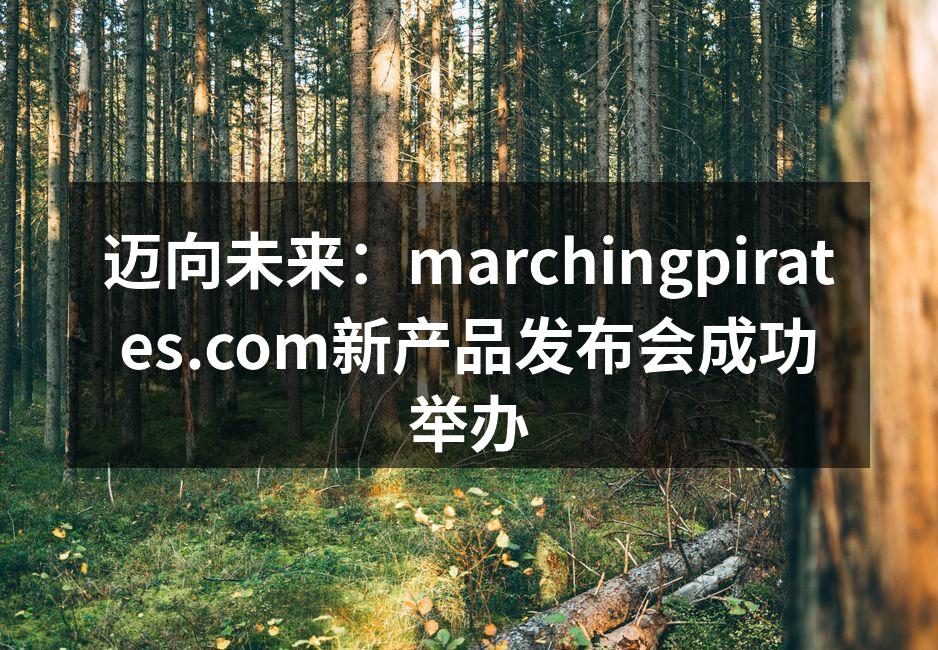 新产品发布会现场热烈气氛